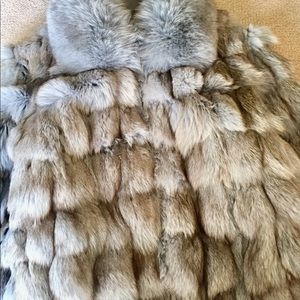 Winter Blue Fur